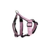 HH017 - Image 4