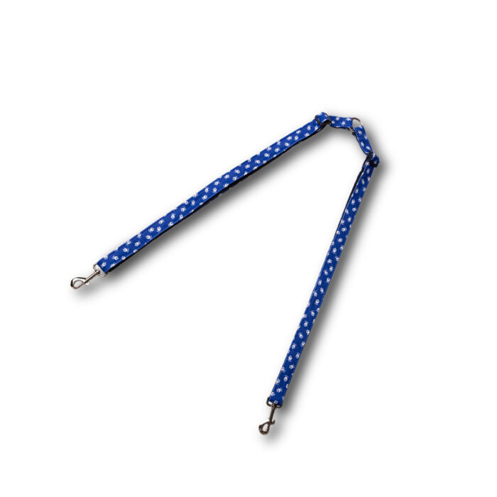 DAL005 - Image 1
