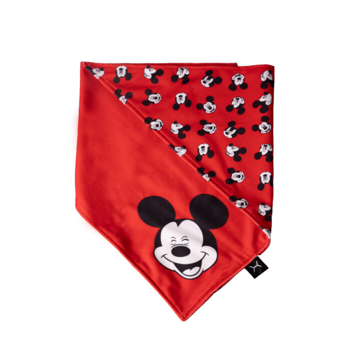 B020 - Image 2